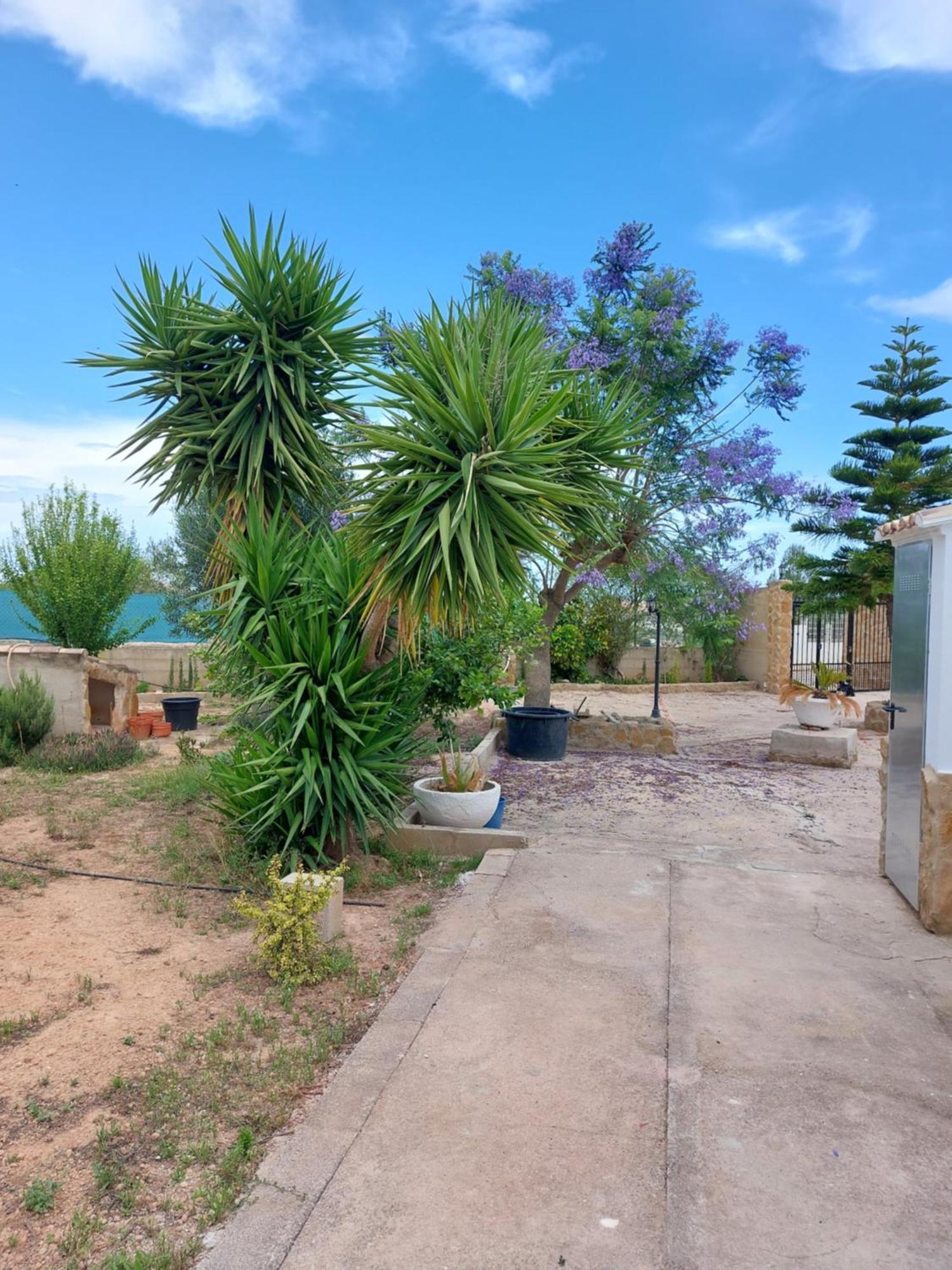 Villa Les Berreries Montroy Esterno foto