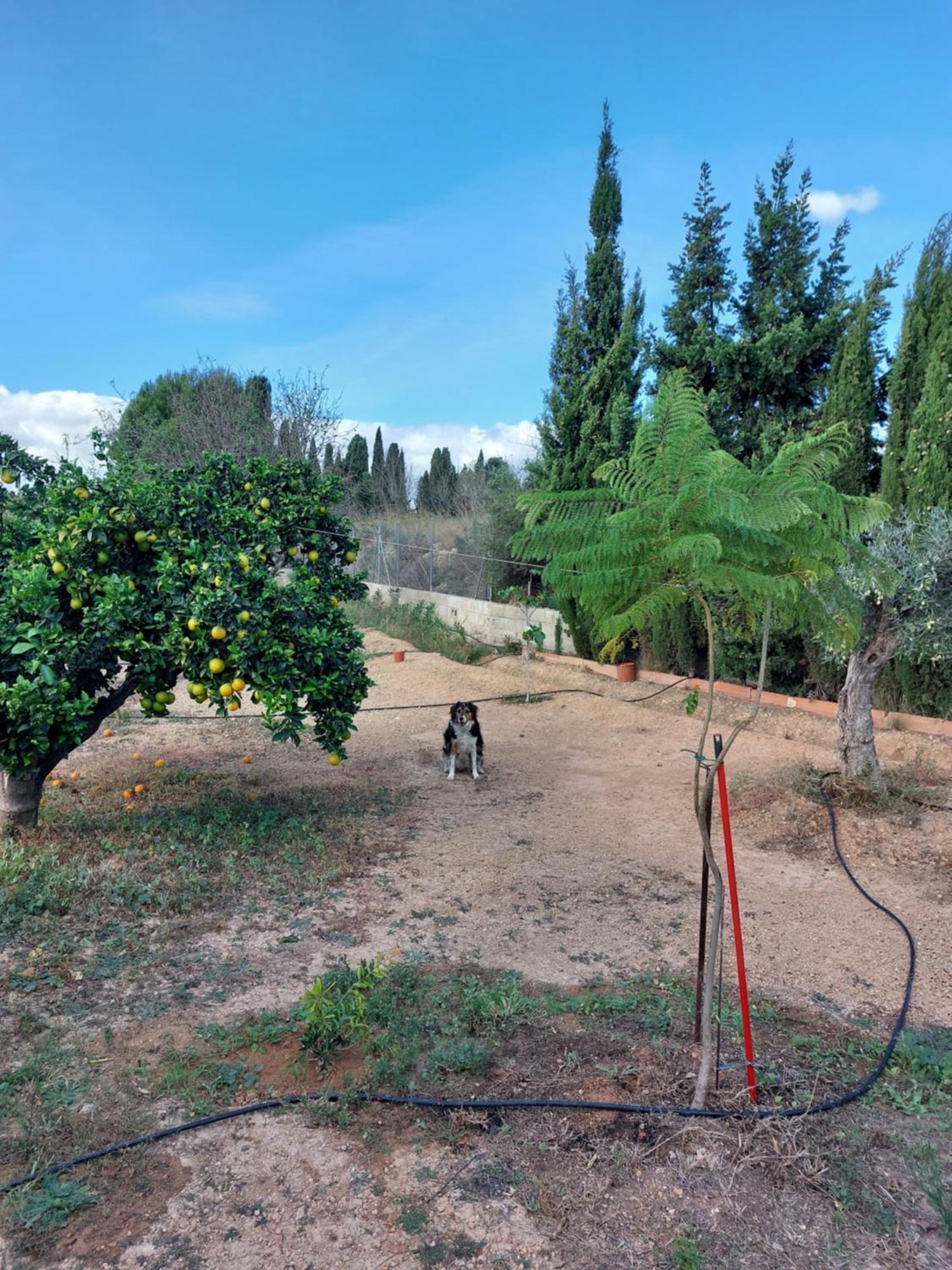 Villa Les Berreries Montroy Esterno foto